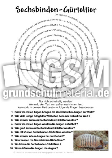 Sechsbinden-Gürteltier.pdf